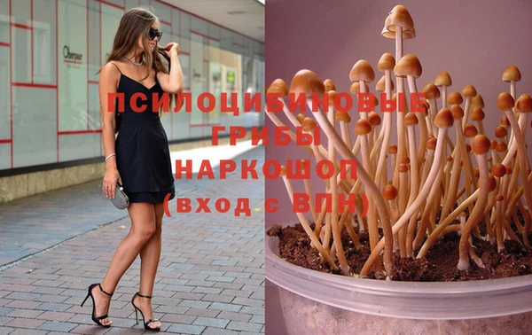 Альфа ПВП Балахна