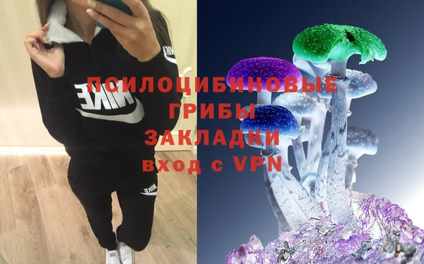 гидра Осташков