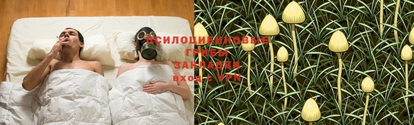ГАЛЛЮЦИНОГЕННЫЕ ГРИБЫ Нязепетровск