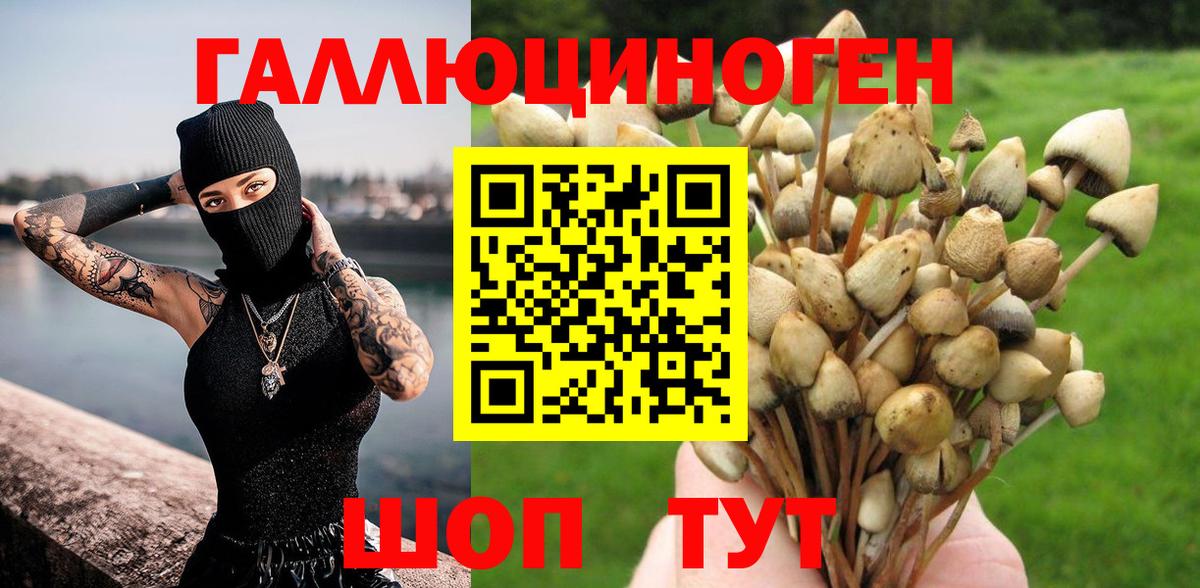 Галлюциногенные грибы GOLDEN TEACHER  Галлюциногенные грибы MAGIC MUSHROOMS  Кореновск  Вход с VPN 